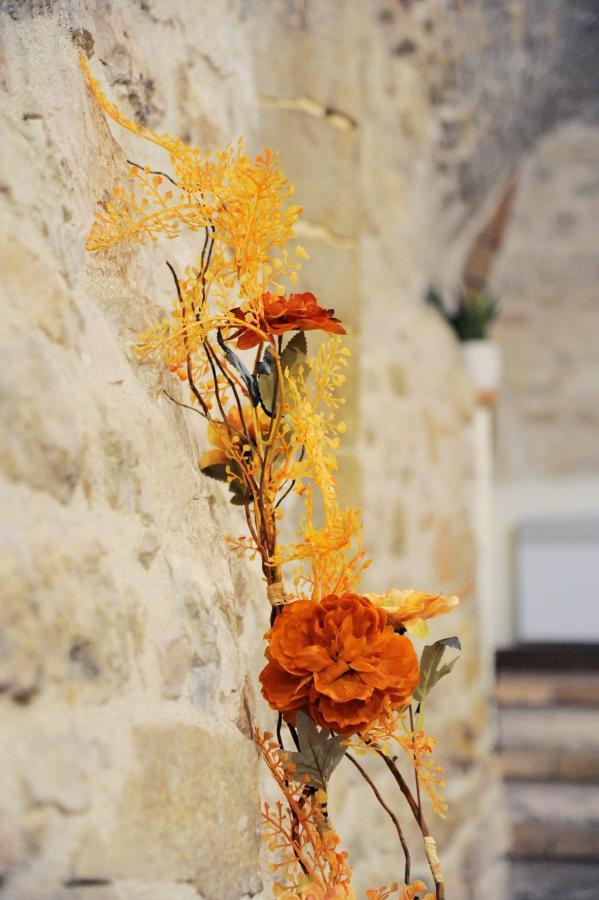 O Rosa Bella Appartamento Via Savelli Della Porta 24 Gubbio Exterior foto